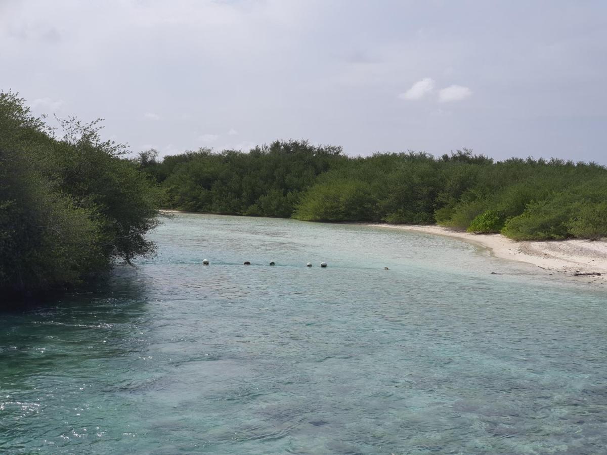 Orimas Retreat Hotell Thulusdhoo Exteriör bild