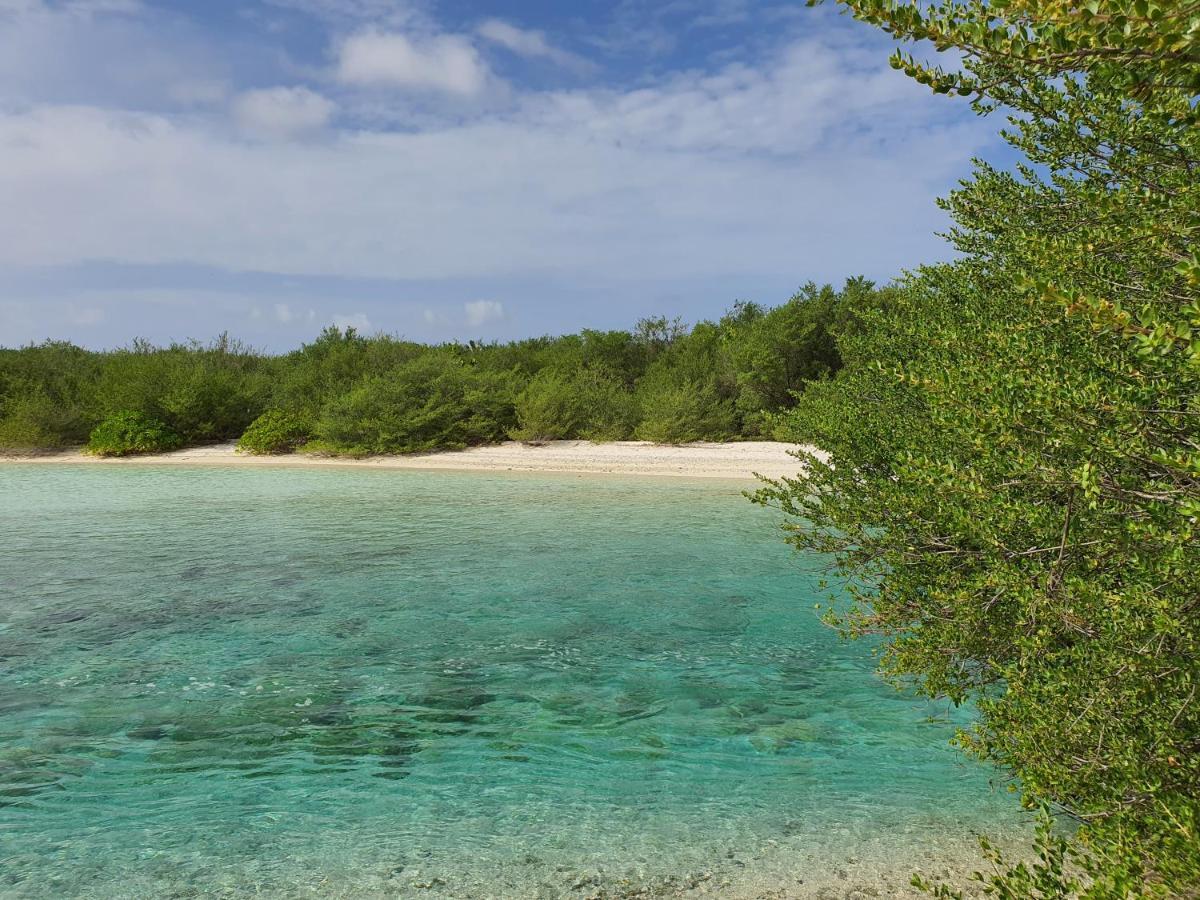 Orimas Retreat Hotell Thulusdhoo Exteriör bild