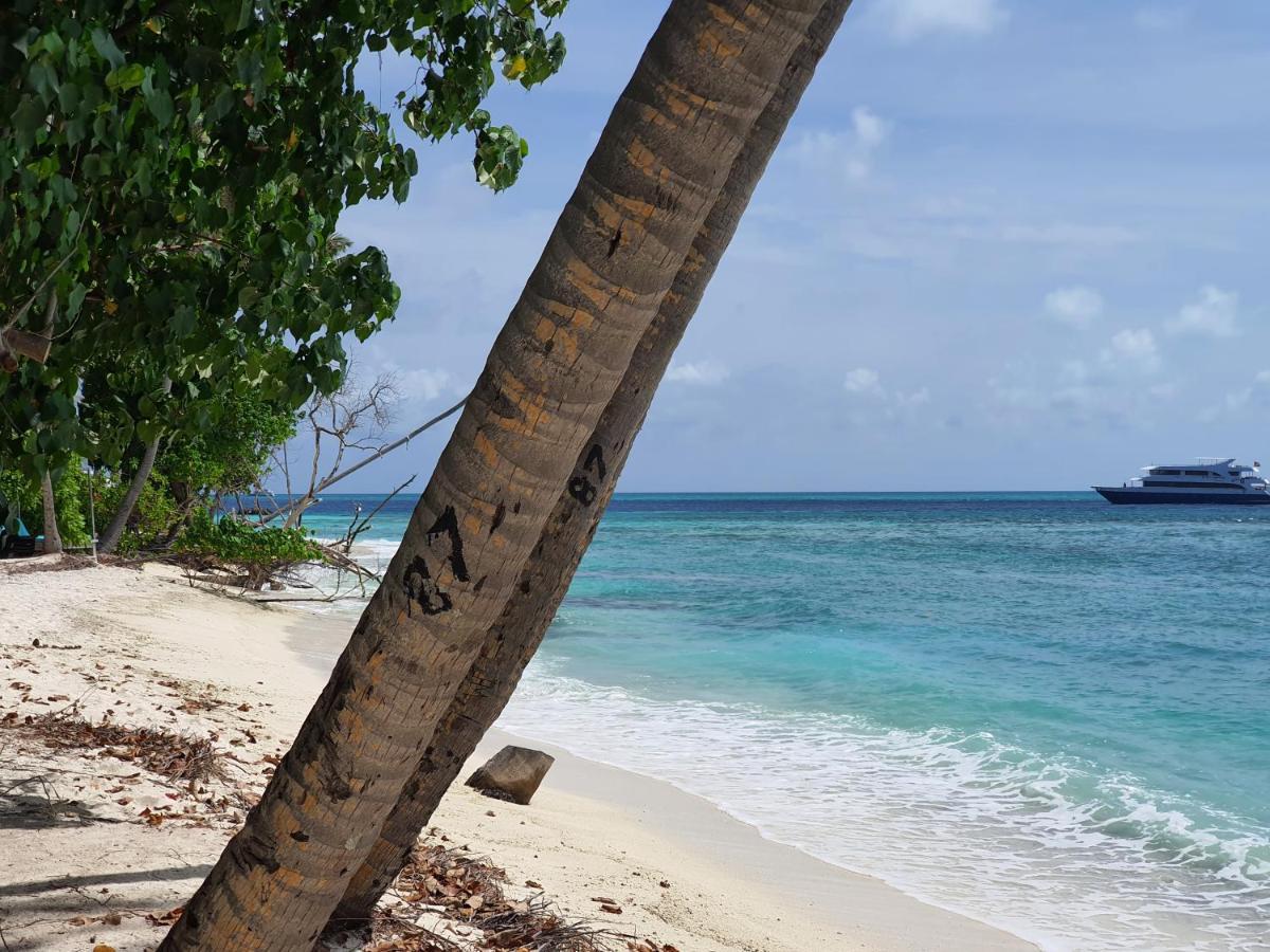 Orimas Retreat Hotell Thulusdhoo Exteriör bild